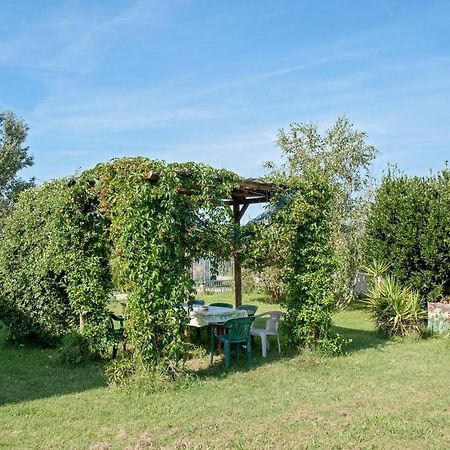 B&B Casa Betulla Pisa Dış mekan fotoğraf